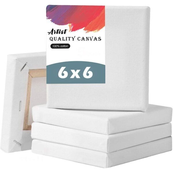Papertree White Premium Canvas 6X6 INCH 2PCS