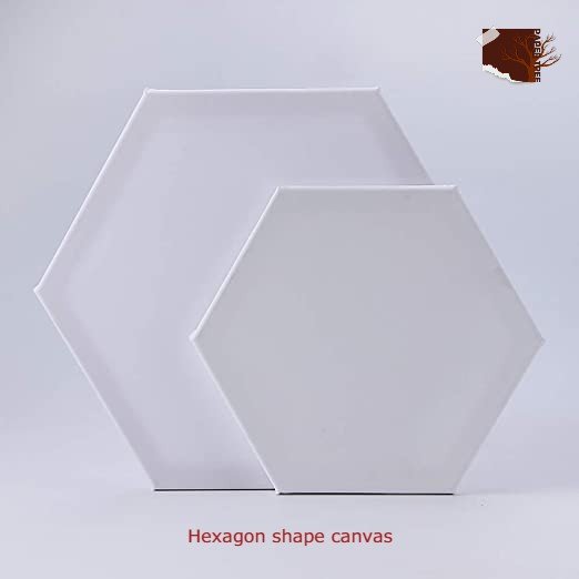 Hexagon shape canvas 10 x 10 inch