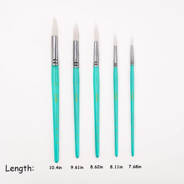 HIMI 5 Piece Water Color Round Brush Set