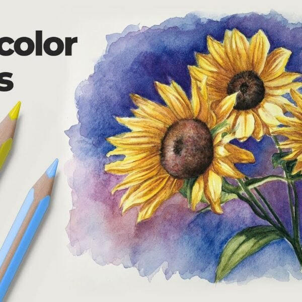 Water Color Pencil 24 Pcs - Tin Box