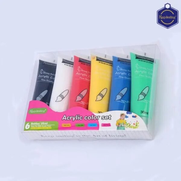 Acrylic Colour 6 Colors 30ml Professional Acrylic Paint Set