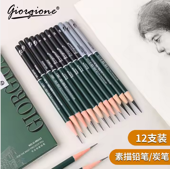 Giorgione Professional Charcoal Pencil 3.8mm Lead Core Sketch Pencils Set For Artist Students Drawing 12 pcs mix soft medium & Hard