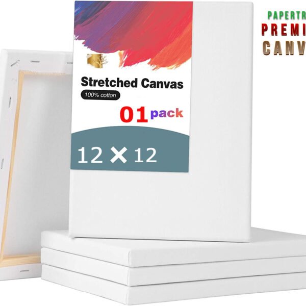 Premium White Canvas 12X12 INCH