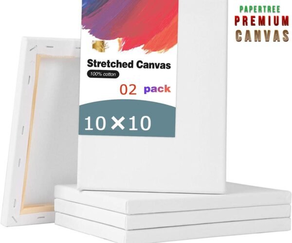 white premium canvas 10x10 inch 2 pcs