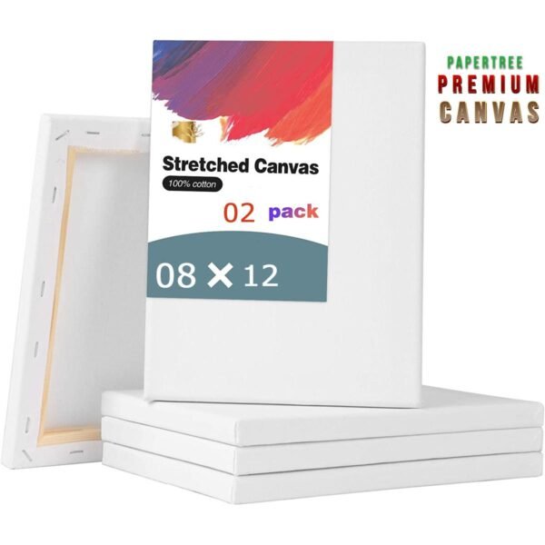 White Premium Painting Canvas 8X12 Inch Pack of 2 Pcs