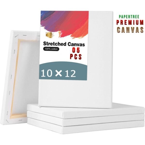 white premium painting canvas 10/12 inch pack of 05 pcs
