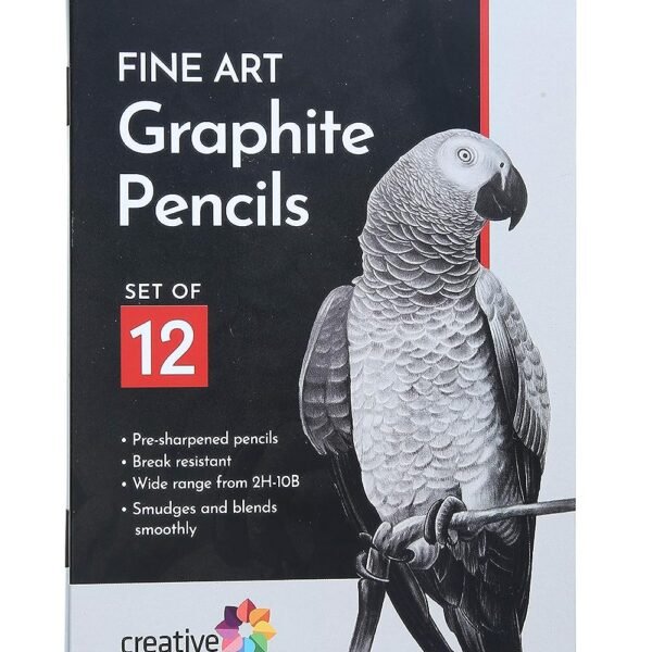 brustro artists fineart graphite pencil set of 12 (10b 2h) with elegant tin box
