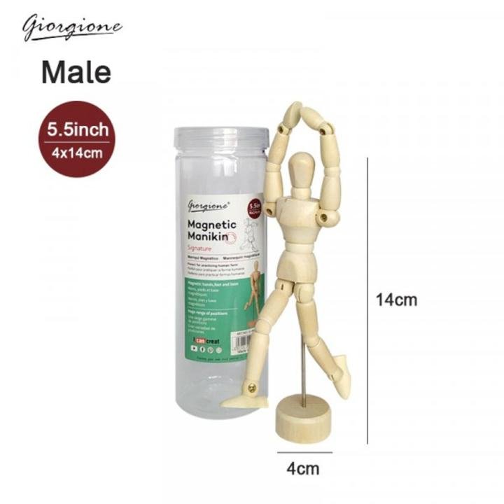 Giorgione Wooden Magnetic Manikin Male 5.5 Inch – Artist Drawing Figure Model for Sketching, Anatomy Study & Art Practice