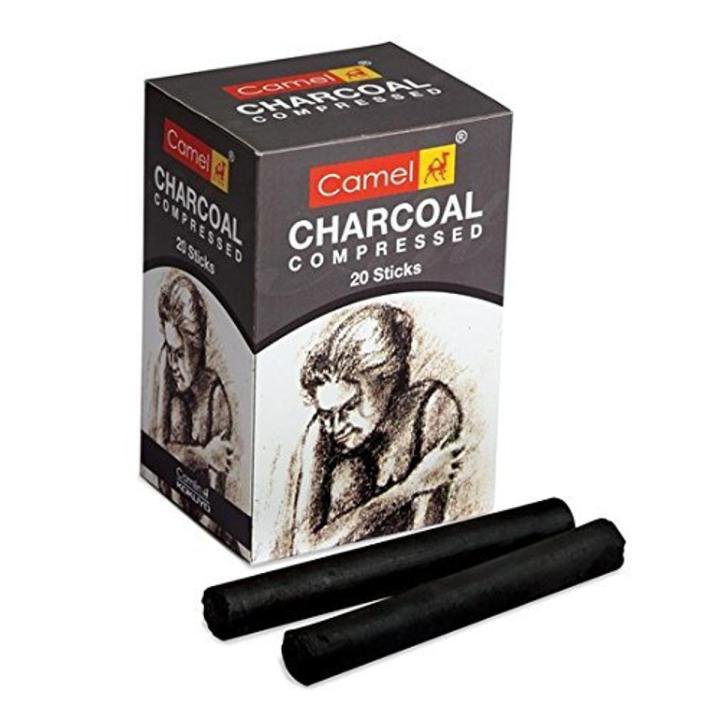 Camel Compressed Charcoal Sticks 20PCS | Professional Drawing & Sketching Charcoal Set