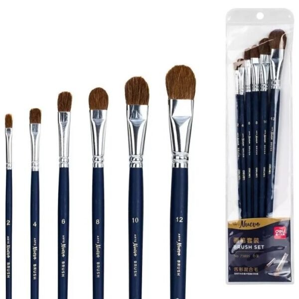 Deli W73895 Brush Set 6 Pcs Professional Painting Brush Set for Acrylic Watercolor and Creative Art Projects