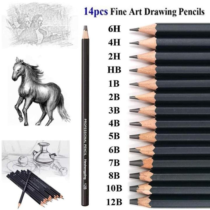14 Pcs Professional Graphite Sketching Pencil Set – Drawing & Shading Pencils with 12B to 6H Grades for Artists, Students & Beginners