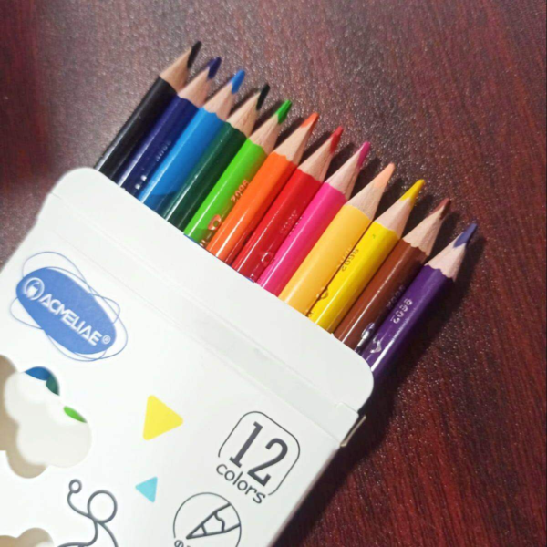 Acmeliae Woodless Colored Pencils 12 Pcs CWP-12 for Drawing Coloring & Artwork