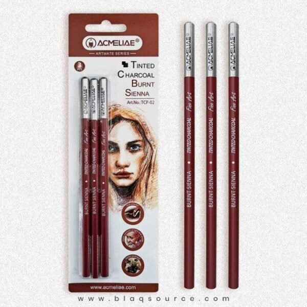 Acmeliae Tinted Charcoal Pencils  TCP-02 3 Pcs for Drawing Sketching & Shading